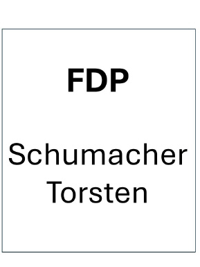 Personalberater (62 Jahre)