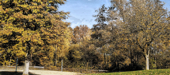 Badesee Mindenerwald