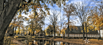 Reimlers Teich Hille