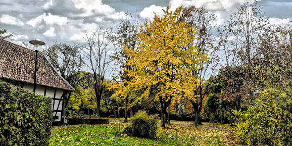 Heuerlingshaus Rothenuffeln