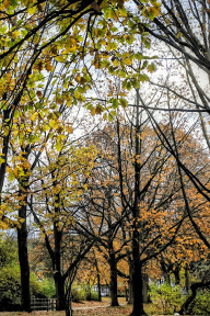 Kurpark Rothenuffeln